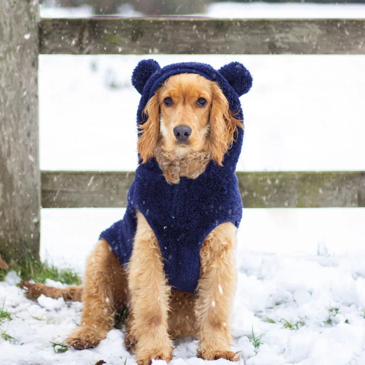 men's hoodies for winter -Rosewood Cupid and Comet Teddy Bear Hoodie